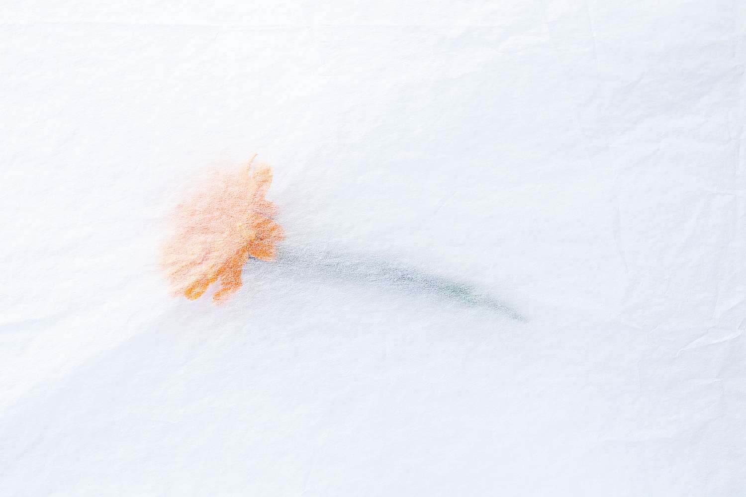 Jos&eacute; Javier Gonz&aacute;lez