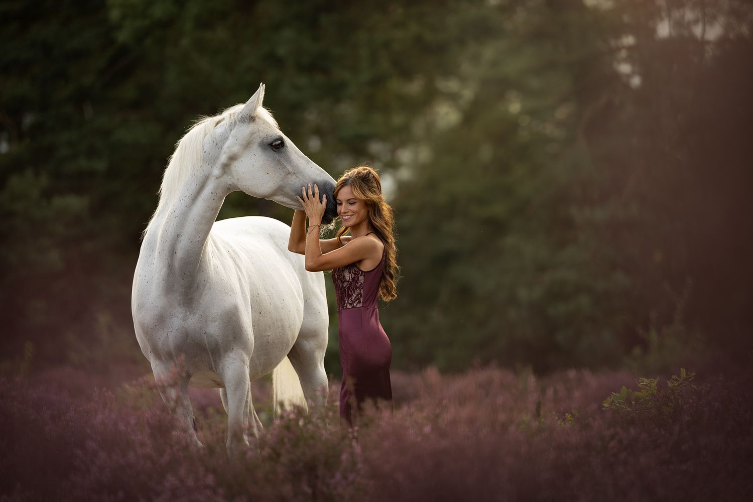 NLS Dierenfotografie