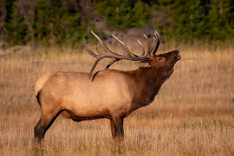 Grand Teton National Park