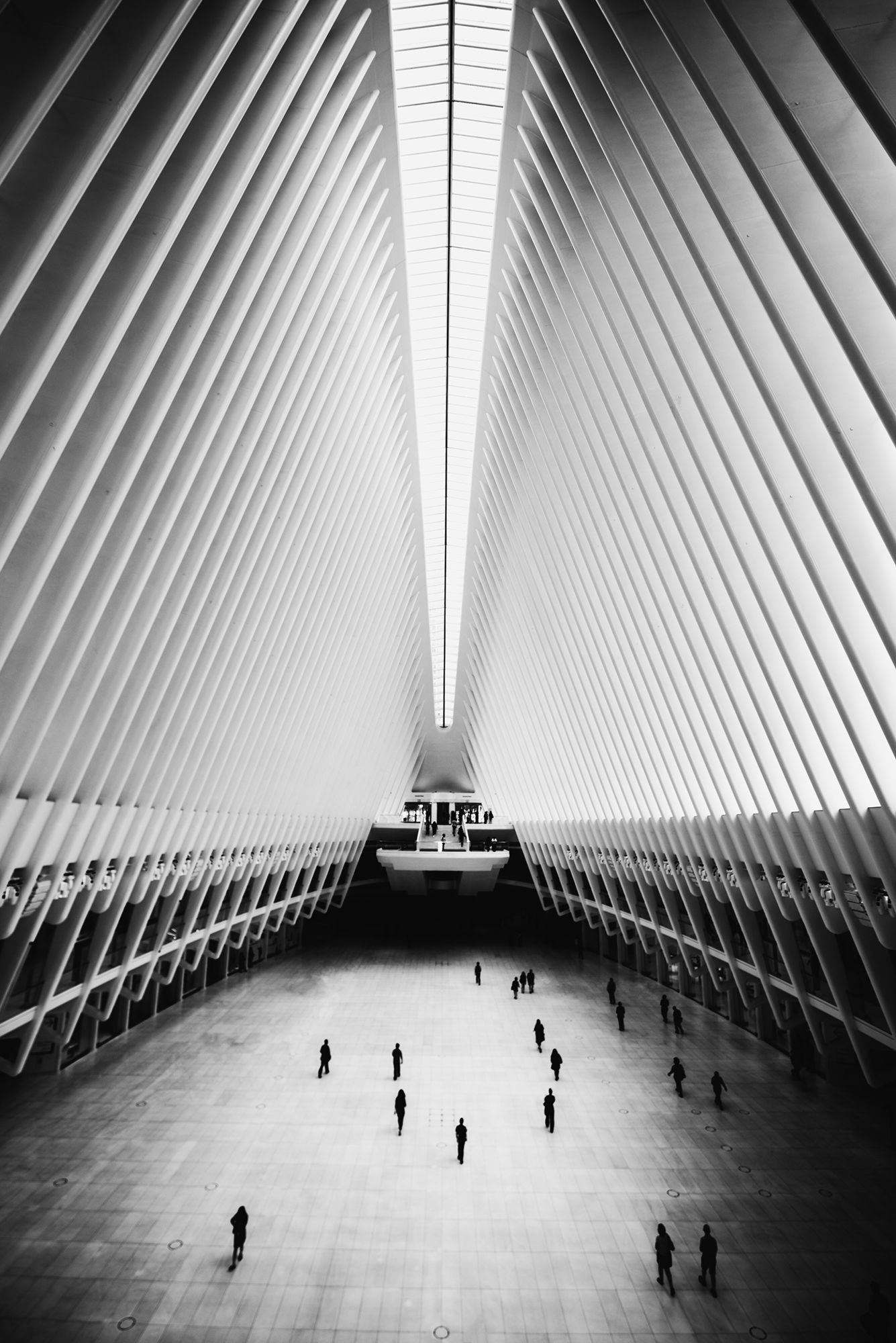 Eric Bloemers Photography