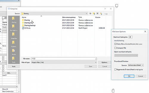 Revit Real-Time BIM Coordination
