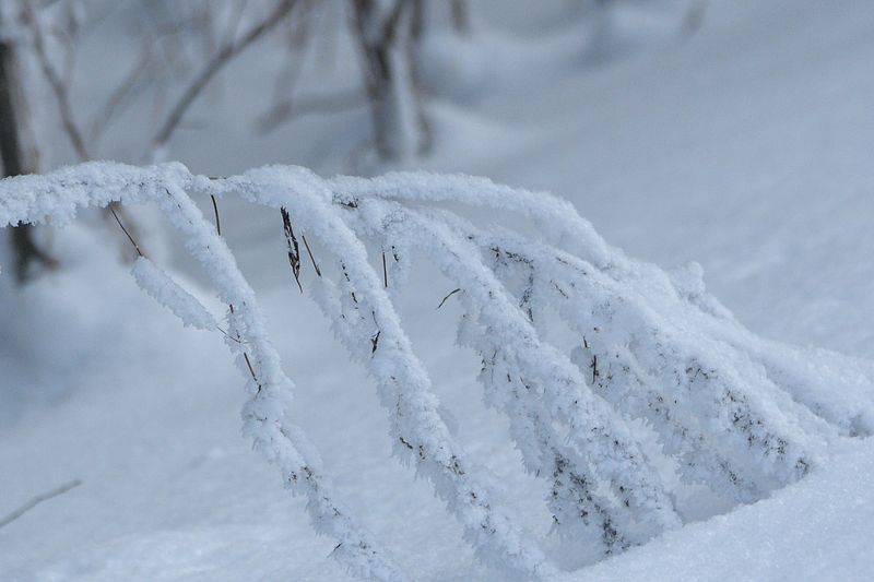 Üli pakaseline ilm on muutumas talutavamaks.