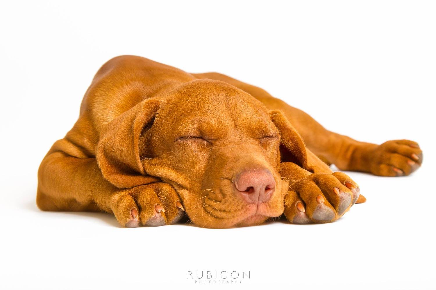 Rubicon Photography