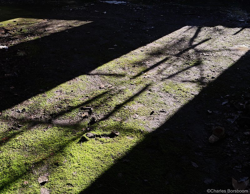 Urbexfotografie Groningen (25 april 2026)