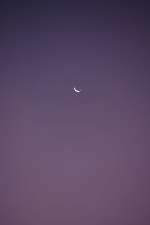 Sanft leuchtender Sichelmond – Eine traumhafte Wanddekoration für Naturliebhaber.