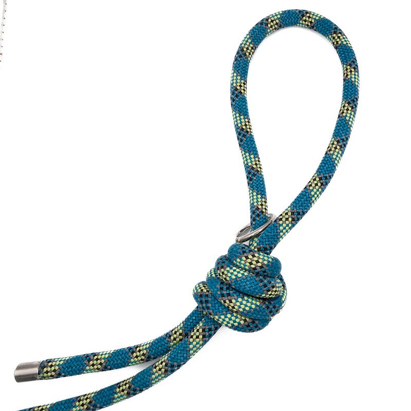 Blue & Lime Big Dog Lead