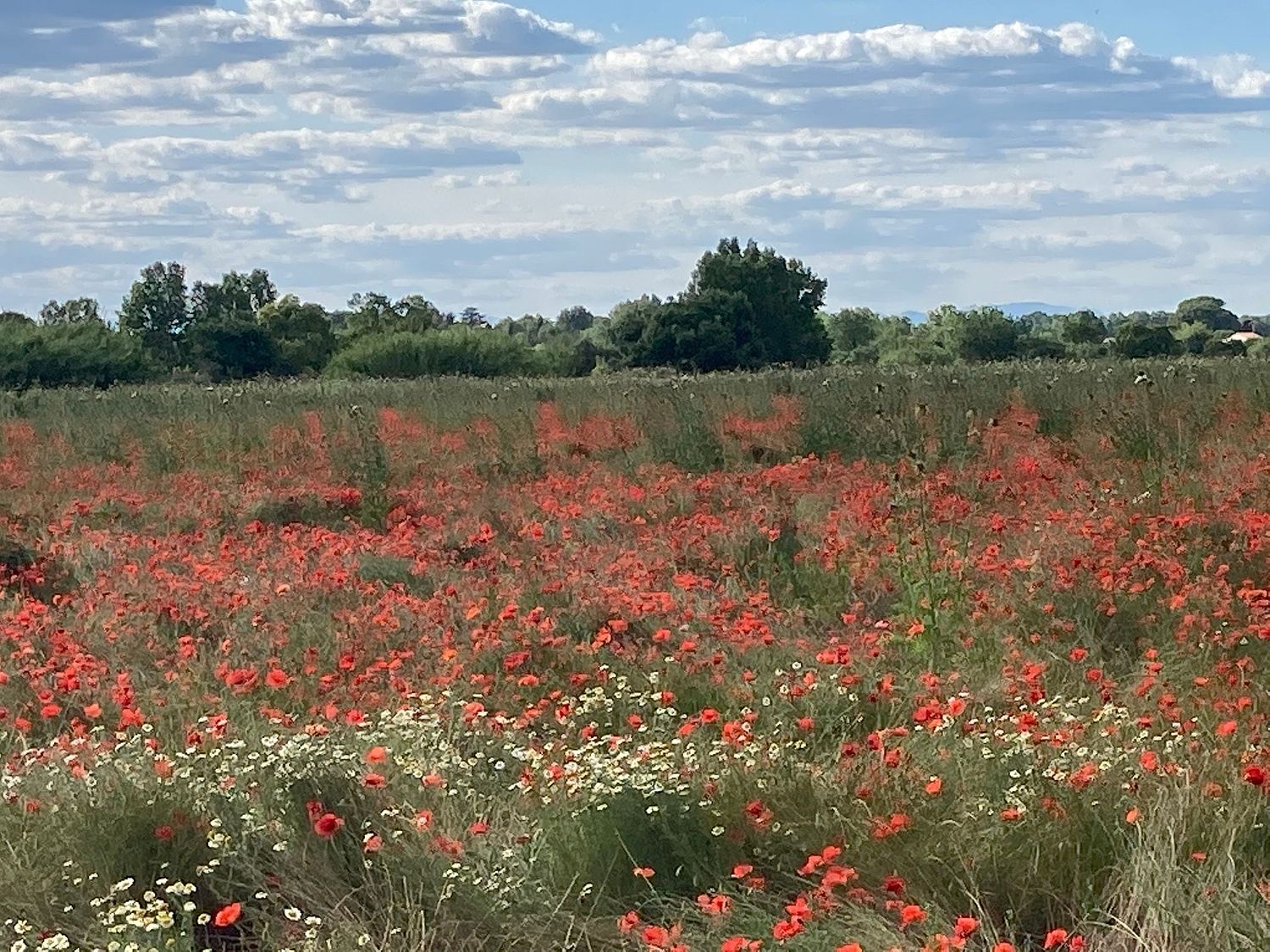 &agrave; la maison art