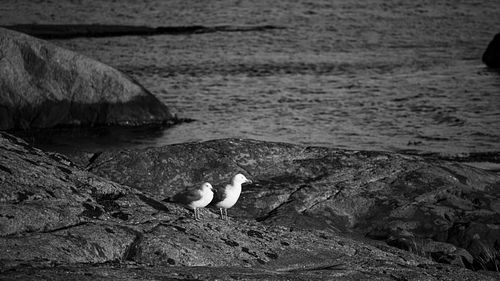 Rocky coast in Verdens Ende