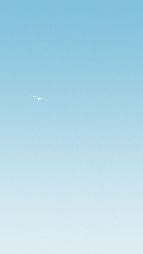 Bluesky
