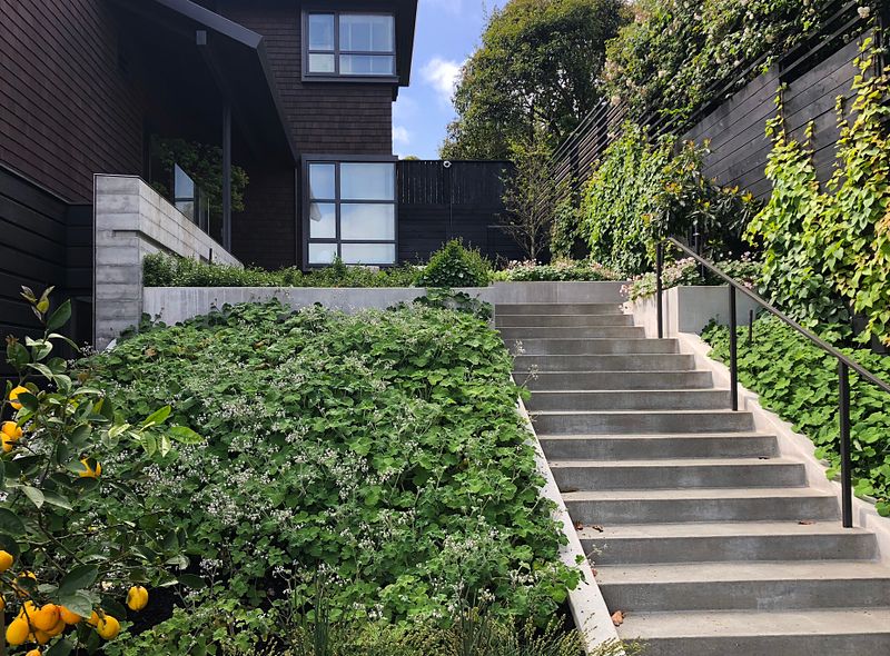 serpentine cliff house