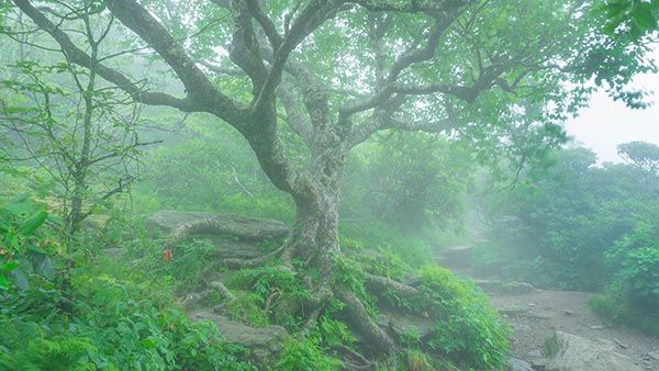 Jonathan Welch Media Arts