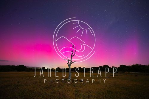 A photo of Aurora Australis over Aldinga Scrub