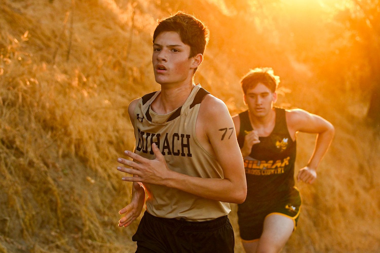 Mark Ingraham's Action & Nature Photos