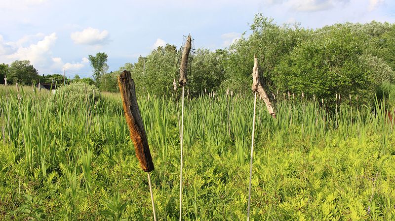 Empreintes - Sutton, QC