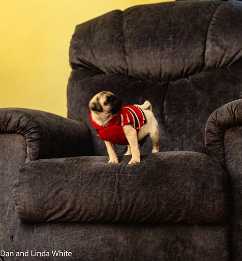 Yep Still on the  La-Z-Boy