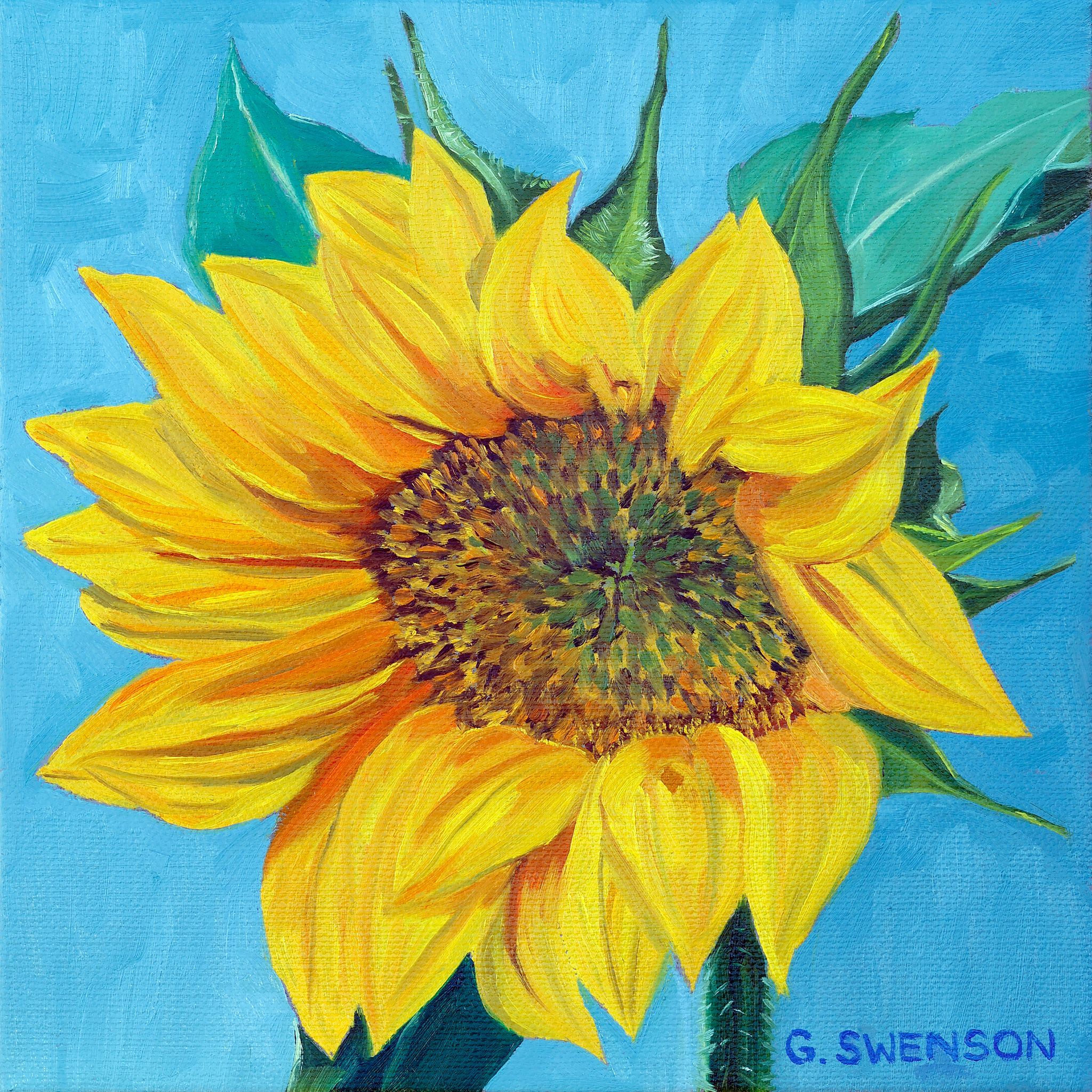 Sunflower