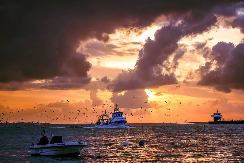 Los pescadores de Puerto Bonanza