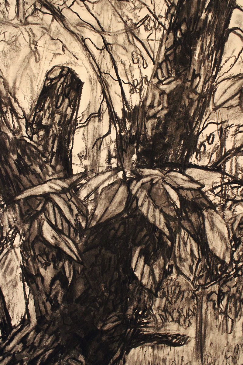 along our path: spring