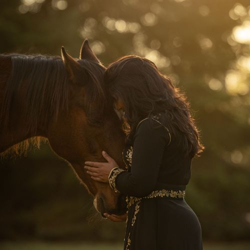 Een Fotoshoot met jouw paard