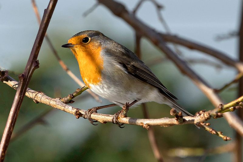 Ute mellom 13:45 og 14:45