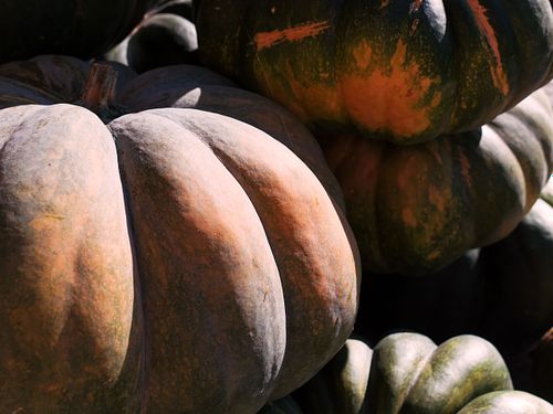 Kapelle Wilder Geschinen