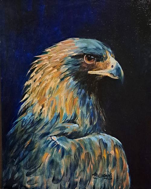 Sky King