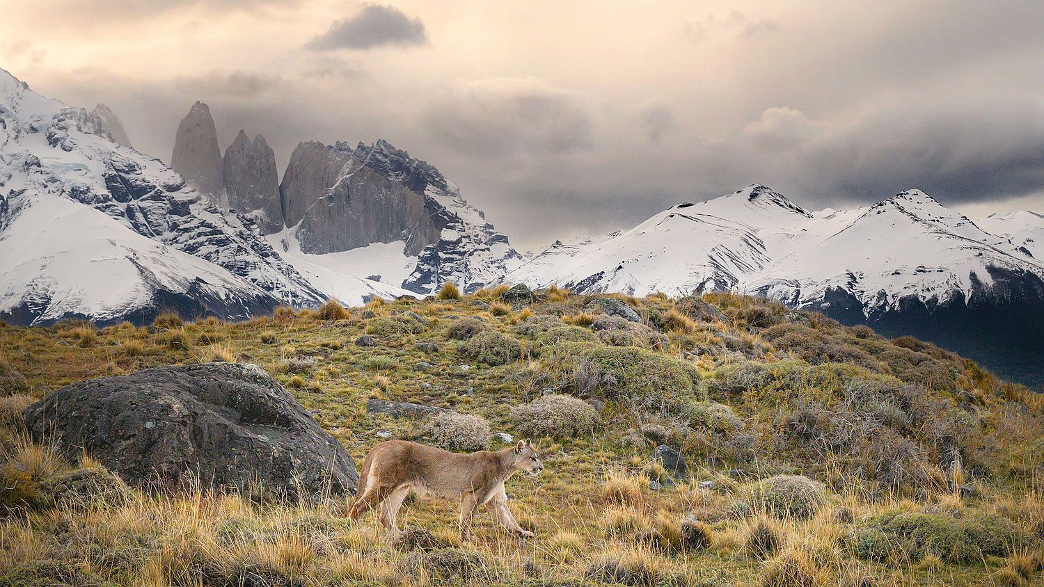 nanette kardaszeski fine photography