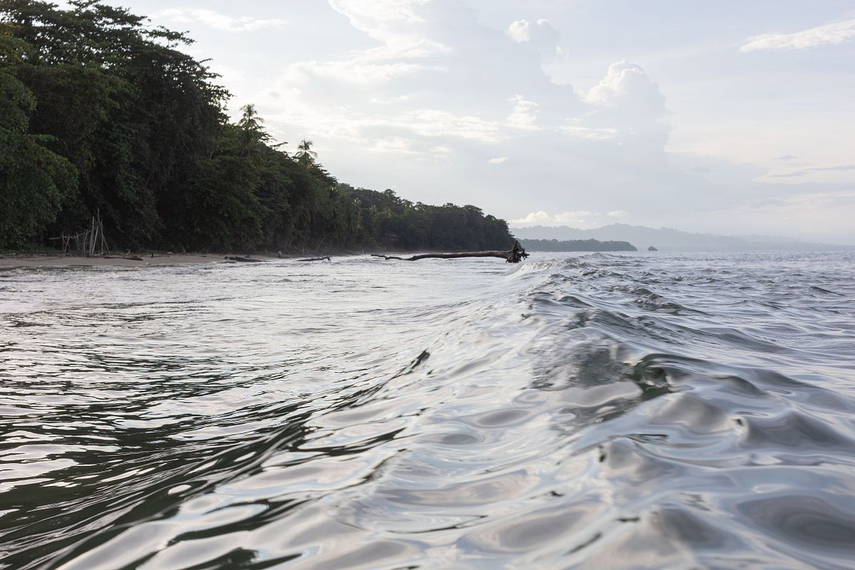 Redaktionell st&auml;mningsbild med havsv&aring;gor i f&ouml;rgrunden och gr&ouml;n kustlinje i bakgrunden. Keywords: st&auml;mningsbild, redaktionell fotografering, hav, kust, resefoto, reportagebild, storytelling, magasinreportage, naturfoto i editorial stil, atmosf&auml;rbild, livsstilsfotografi, varum&auml;rkesfoto, bildber&auml;ttelse, on location
