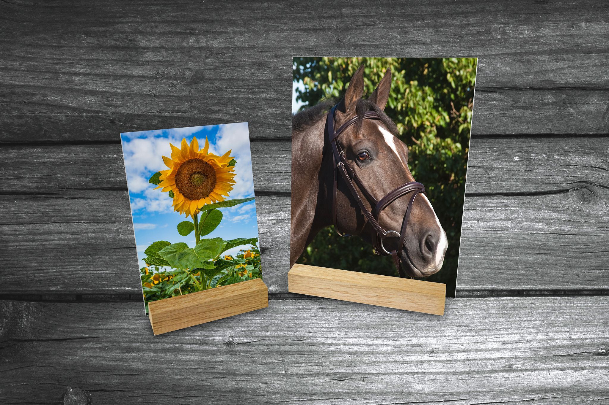 A minimalist stand-up acrylic photo mount which stands in a natural wooden block.