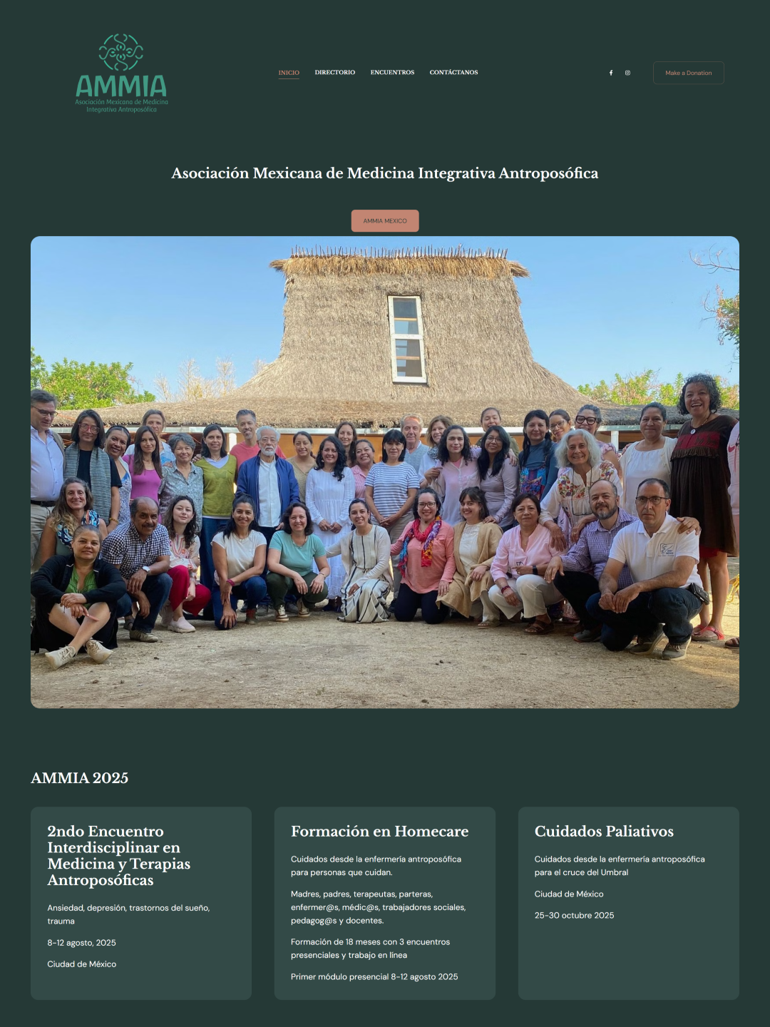 Портфолио некоммерческого веб-сайта Ammi Mexico