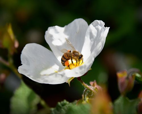 Get More Information