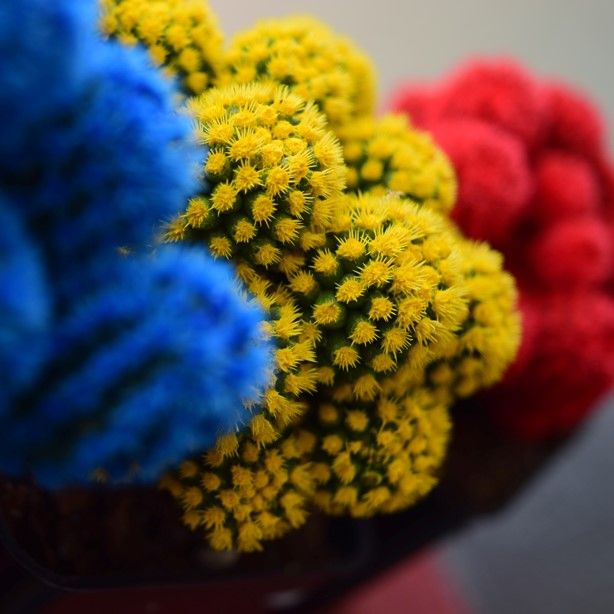 Colour Theory in Commercial Design