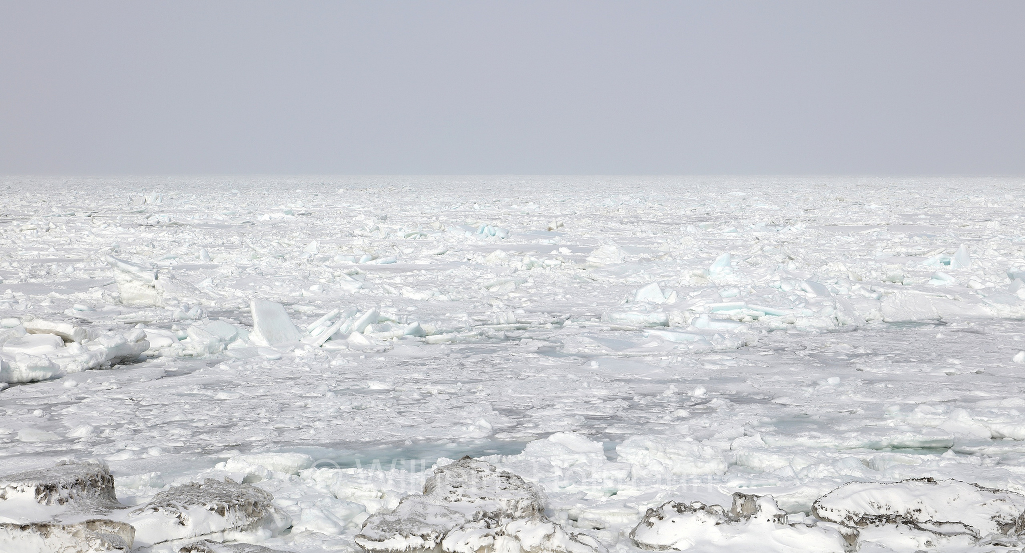 Nemuro Strait, Drift Ice, Notsuke Peninsula, Notsuke Halbinsel, Penisola di Notsuke, Hokkaidō, Hokkaido, Japan, Giappone