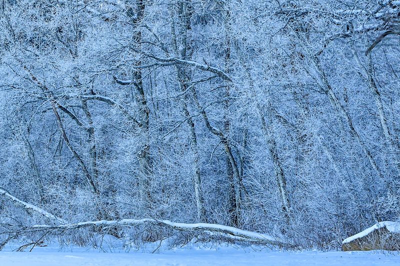Talvine loodus loob kunsti.