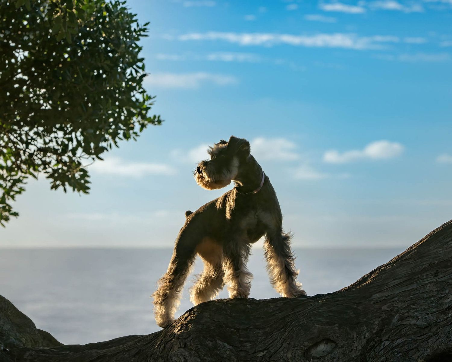 Gretchen Otero Photography