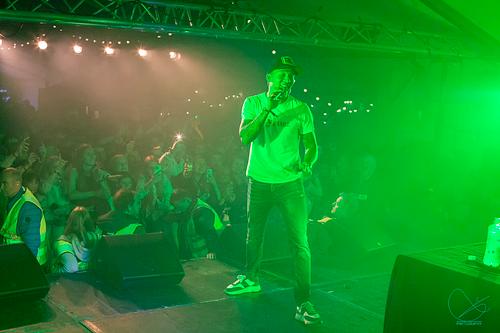 Palmekystfestivalen 2022