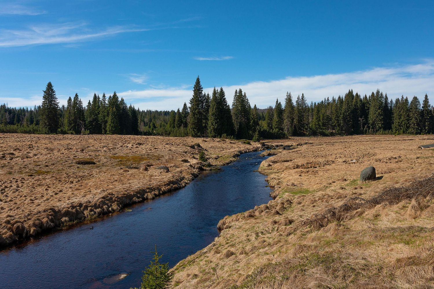 La riviere et la foret