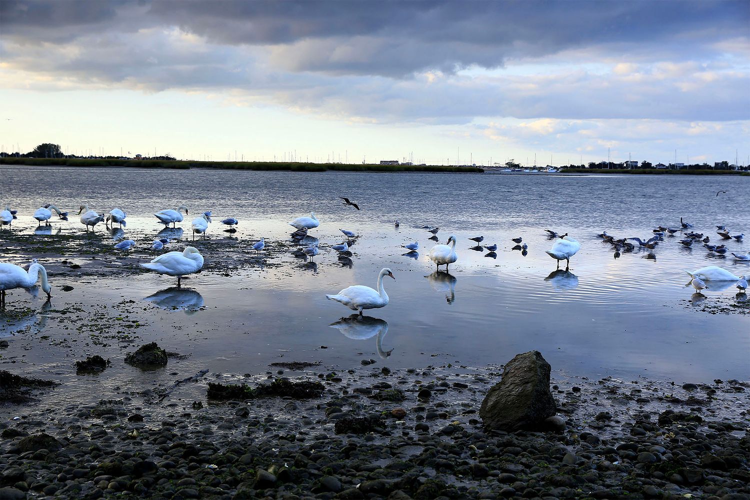 ALISON PERRY PHOTOGRAPHY