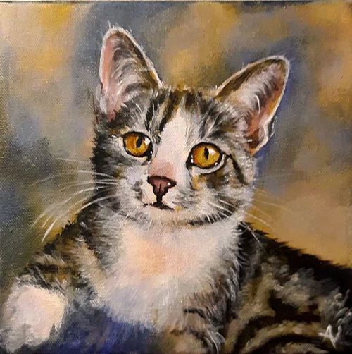 Kitten portrait with curious and expressive eyes