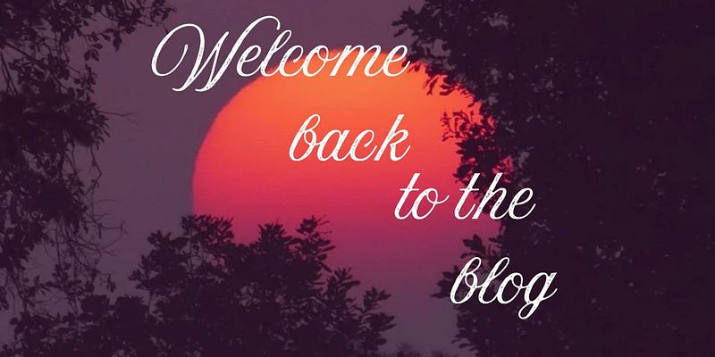 Welcome Back to the Blog