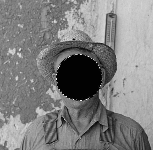 The Hole Punch Project (Selections)