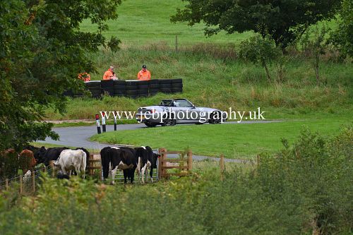 Honda S2000 Adam Riley