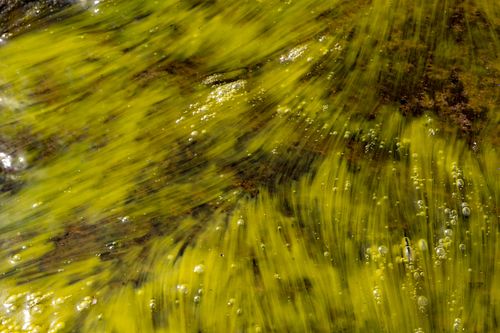 Naturwaldreservat Trillemarka