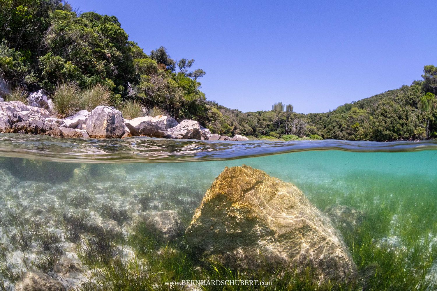 Kroatische Bucht mit Seegras
