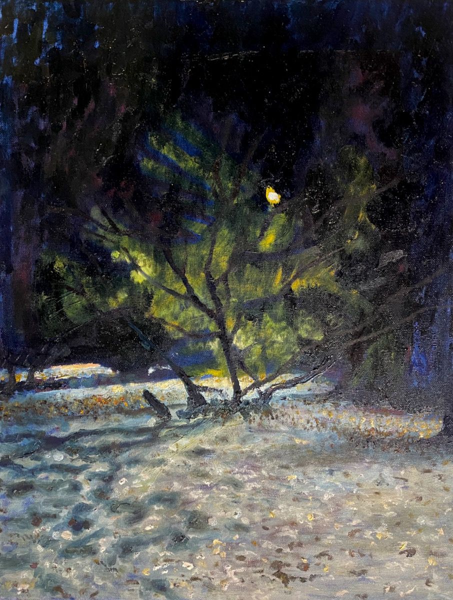 Paintings of surroundings