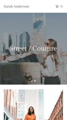 Temas del sitio web de la cartera