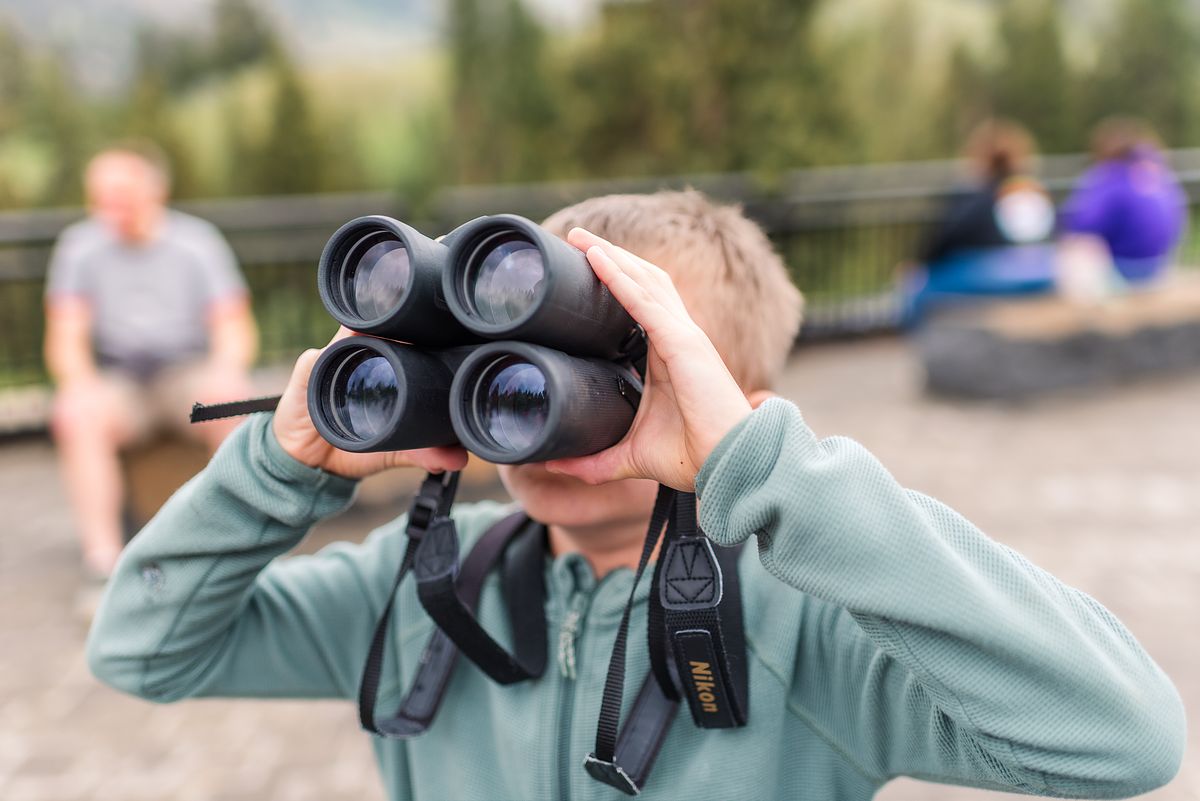 goofy site-seeing with double binoculars on road trip with cranberry twp, pa newborn photographer