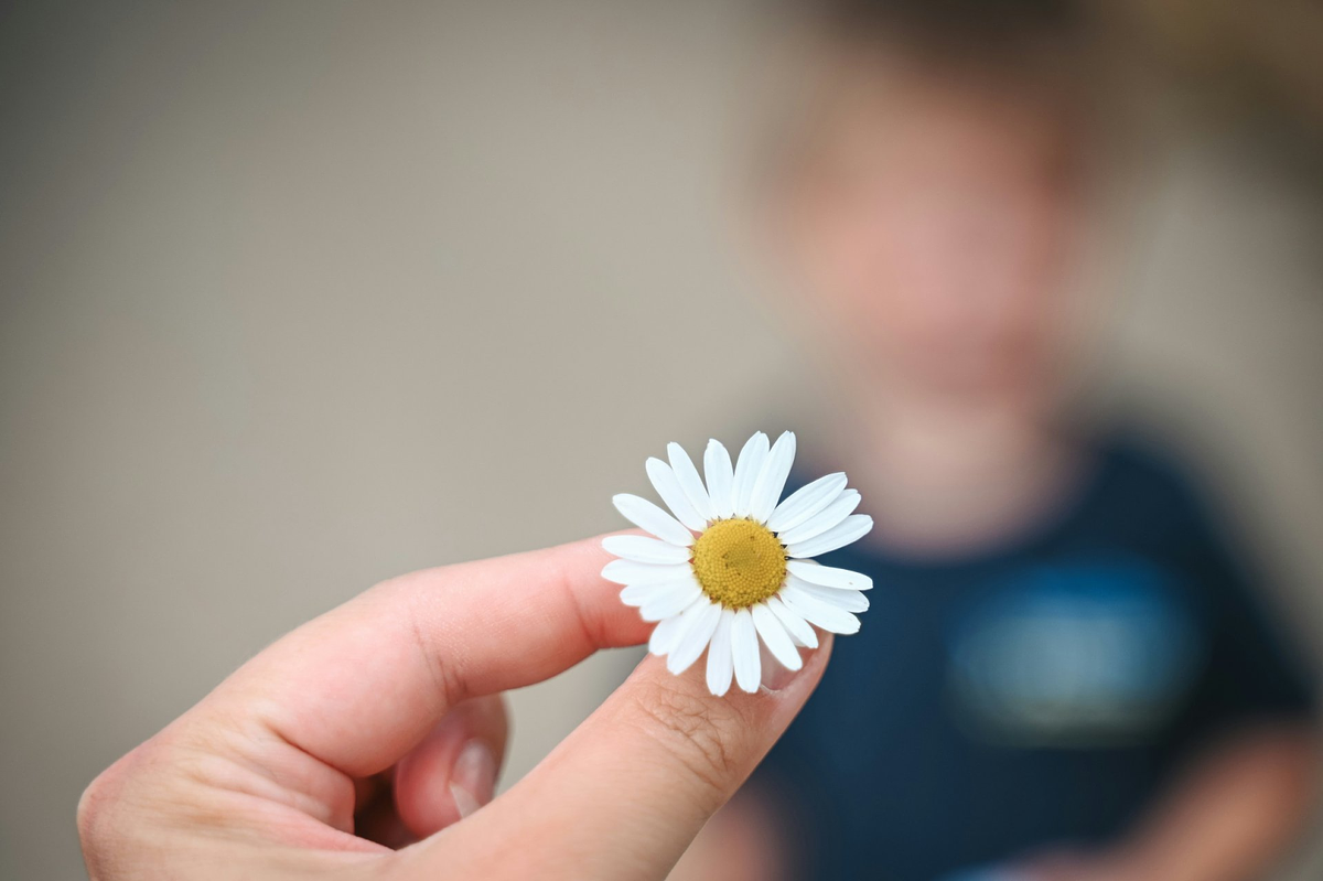 Flower photography