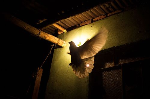 WHEN TRANSITIONAL JUSTICE FALLS SHORT