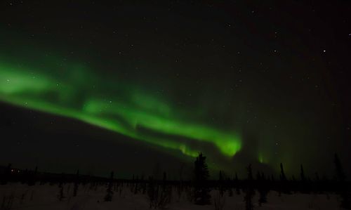7 foot photographer, workshop tour in US, United States, fairbanks, alaska, northern lights, aurora borealis